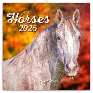 Presco Calendrier des chevaux 2025