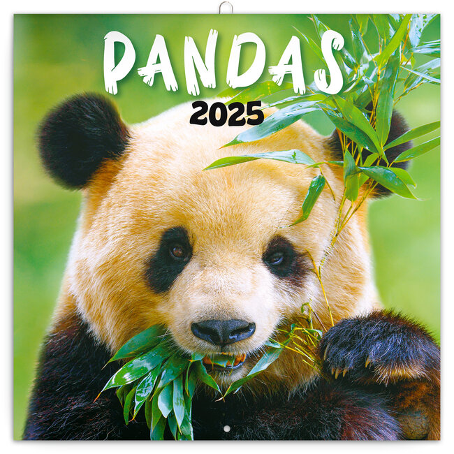 Presco Panda Kalender 2025