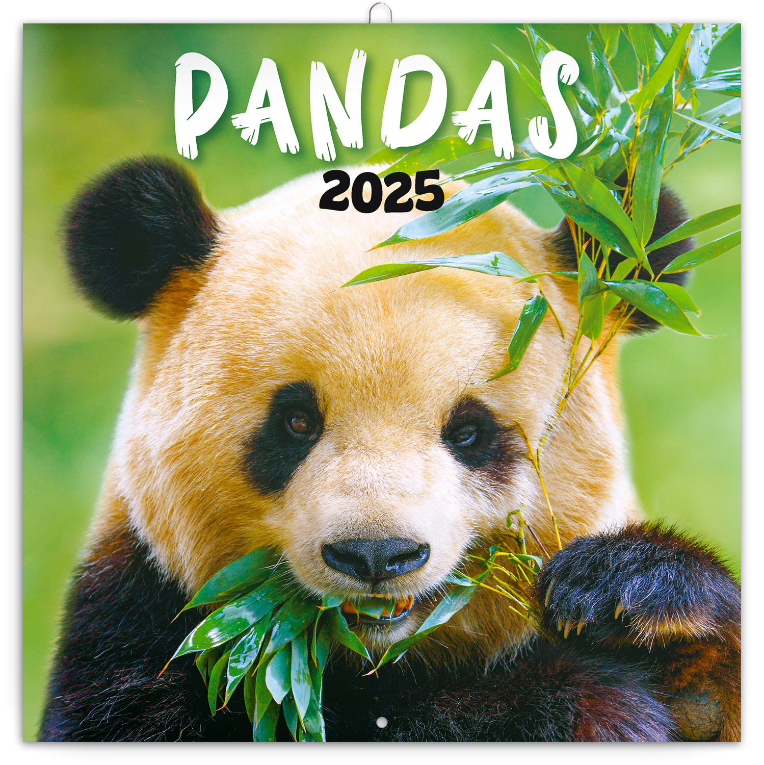 Comprare Panda Calendar 2025 | Ordinare facilmente online ...