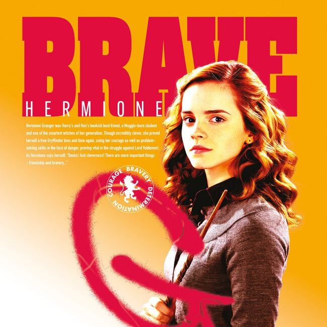 Acheter Calendrier Harry Potter 2025 Commander facilement en ligne Kalenderwinkel.nl