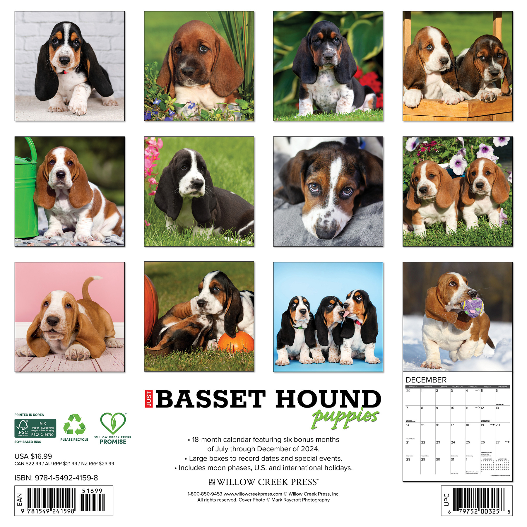 Comprar Calendario Cachorros Basset Hound 2025? Pídalo fácilmente en línea Kalenderwinkel.nl