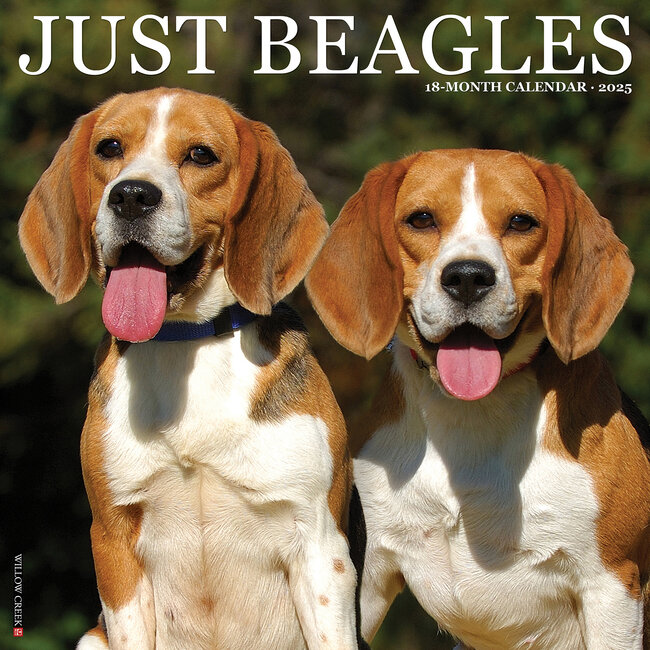 Willow Creek Calendario Beagle 2025