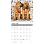 Bloodhound-Kalender 2025