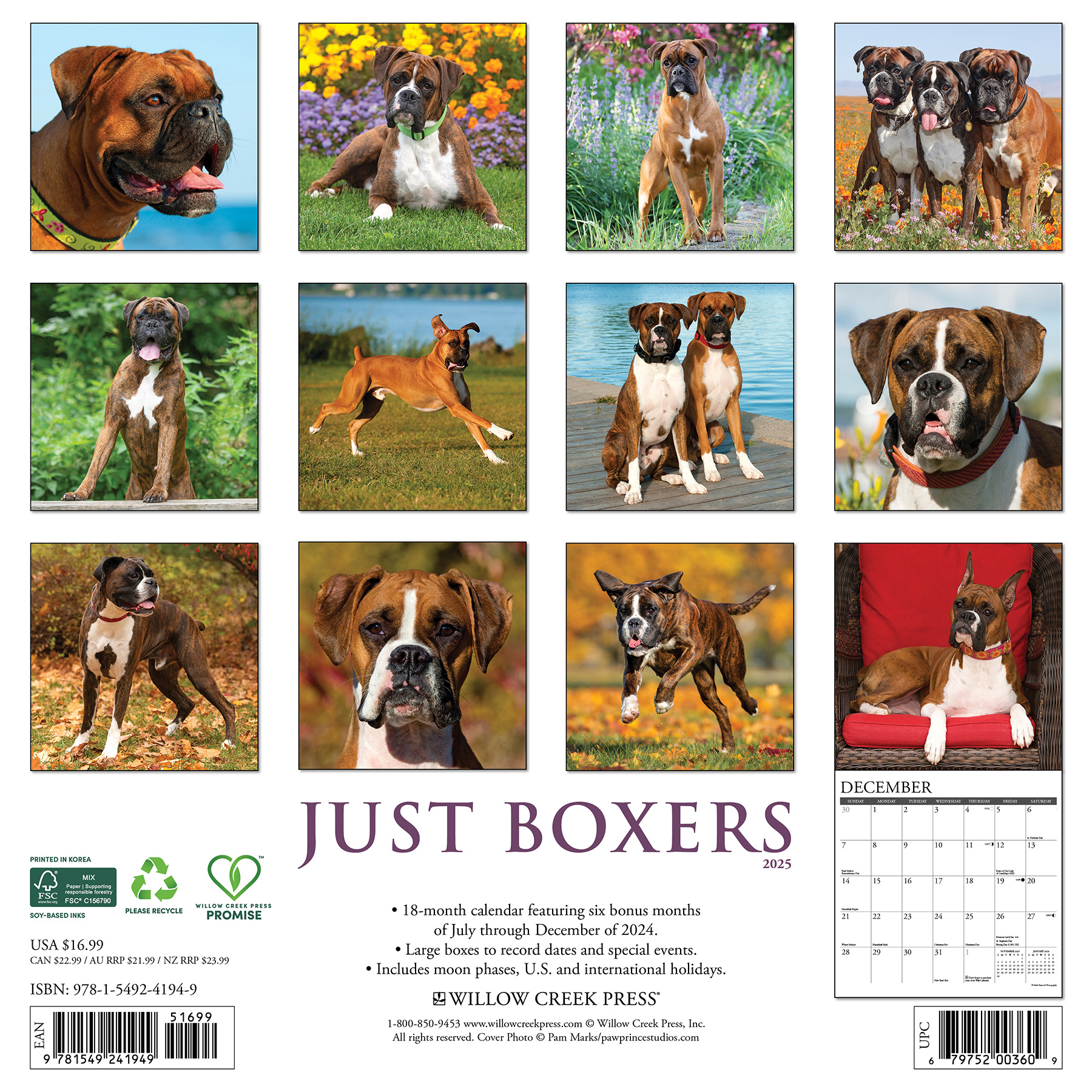 Buying Boxer Calendar 2025 Order easily and quickly Online