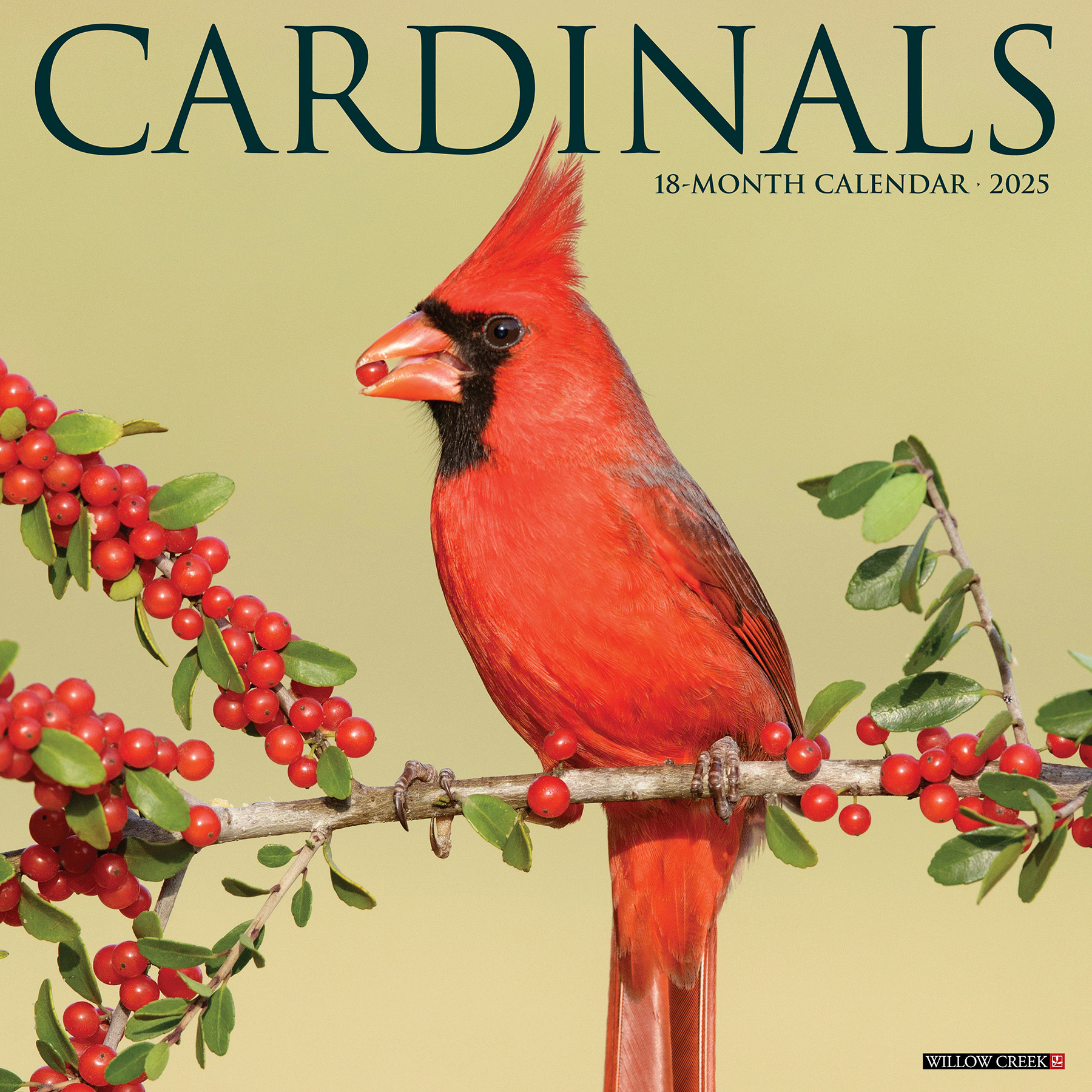 Cardinals Kalender 2025 Kopen? Bestel eenvoudig en snel Online