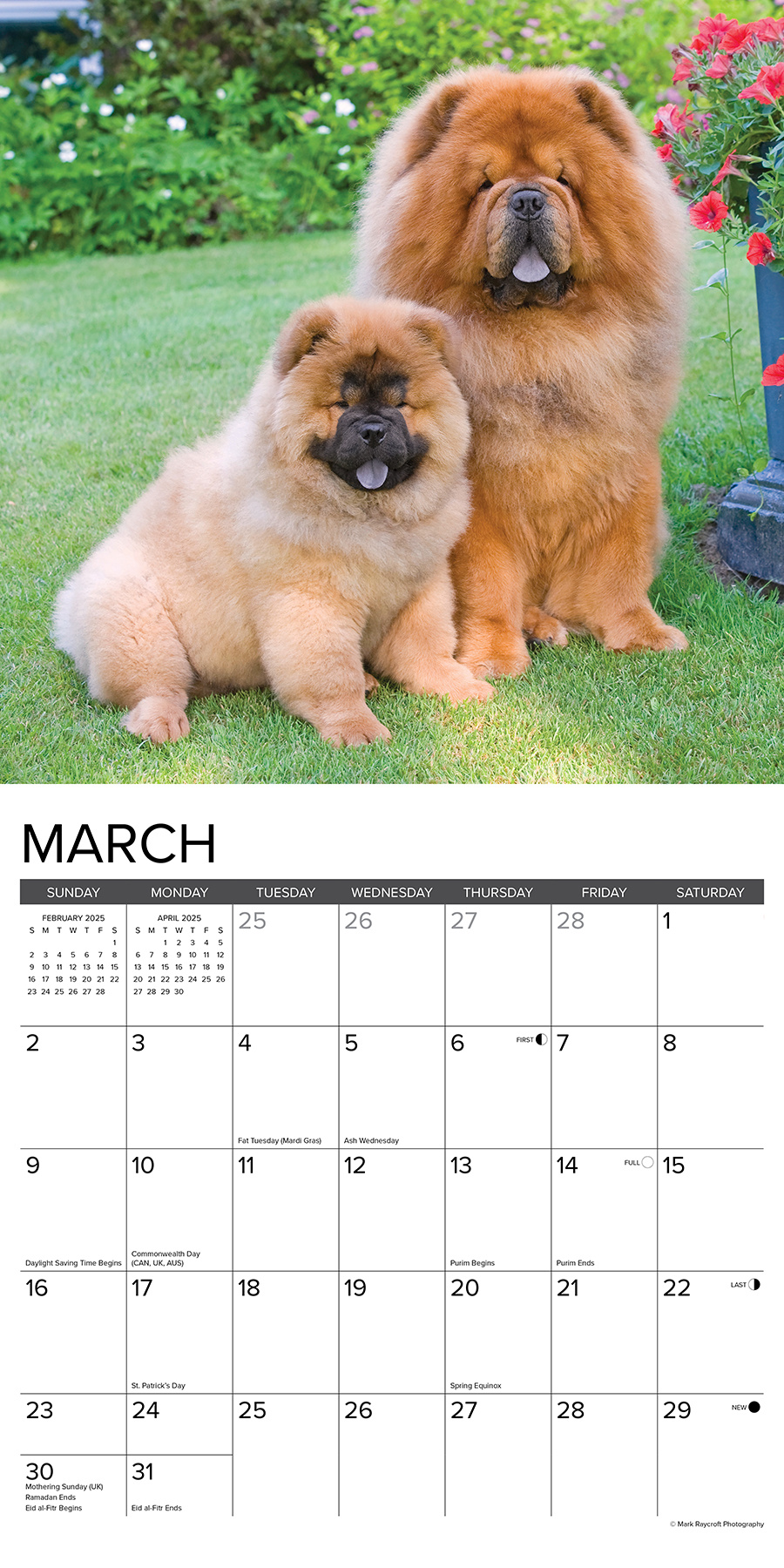 Chow Chow Kalender 2025 Kopen? Bestel eenvoudig en snel Online