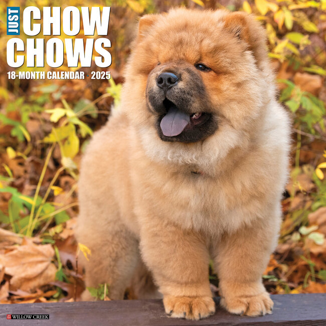 Willow Creek Calendrier Chow Chow 2025