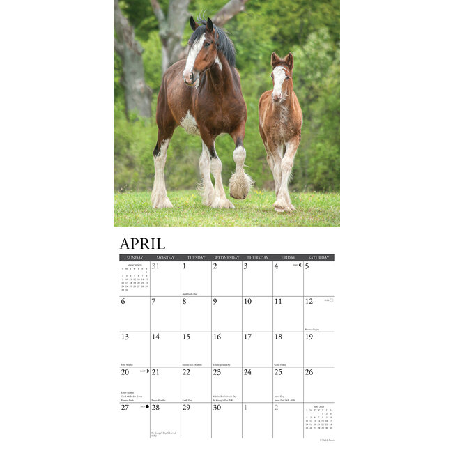 Buying Clydesdales Calendar 2025 Order easily online Kalenderwinkel.nl