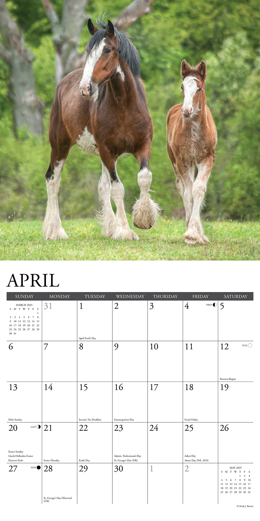 Comprar Calendario Clydesdales 2025 Pedir fácilmente en línea