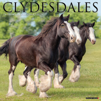 Willow Creek Clydesdales Kalender 2025