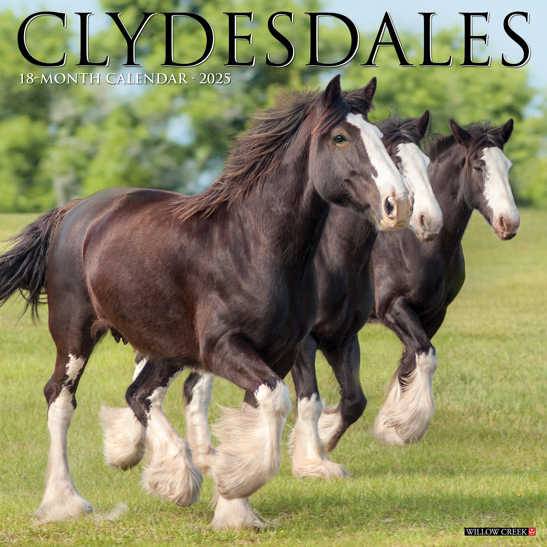 Comprare Calendario Clydesdales 2025 Ordinare facilmente online