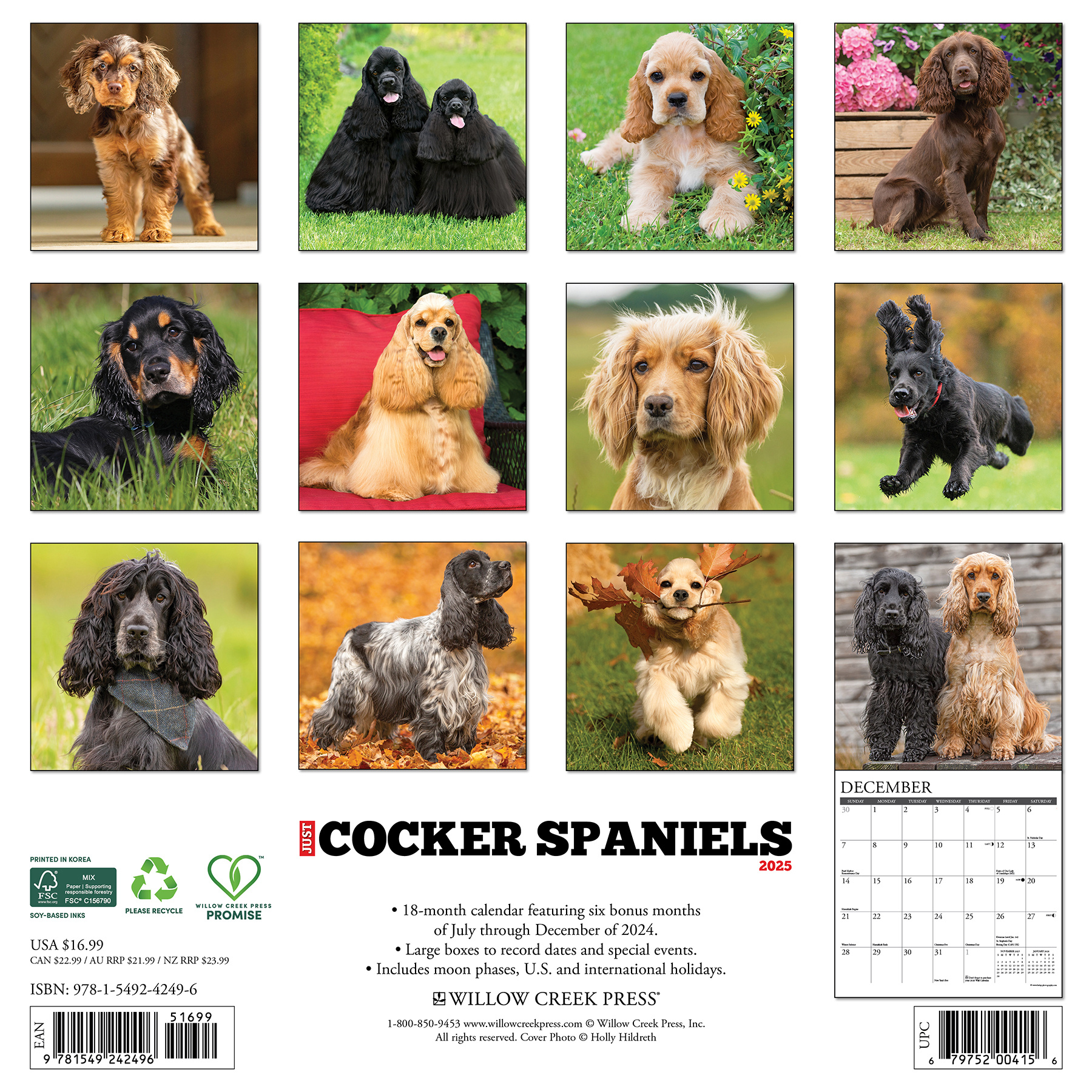 American Cocker Spaniel Kalender 2025 Kaufen Schnell Online Bestellen American Cocker Spaniel Kalender 2025