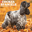 Willow Creek American Cocker Spaniel Calendar 2025