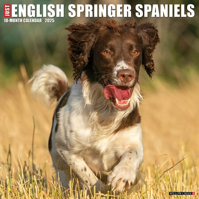 Willow Creek English Springer Spaniel Kalender 2025
