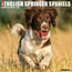 Willow Creek Calendario Springer Spaniel Inglés 2025