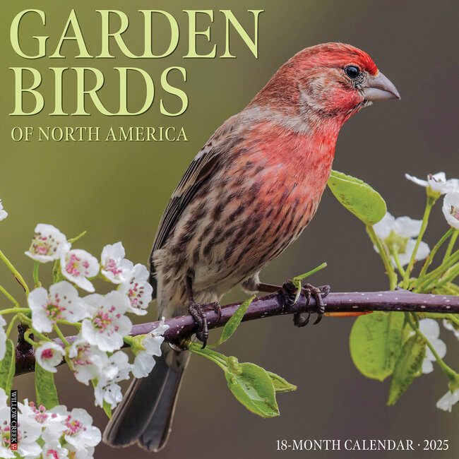Willow Creek Calendrier des oiseaux de jardin 2025
