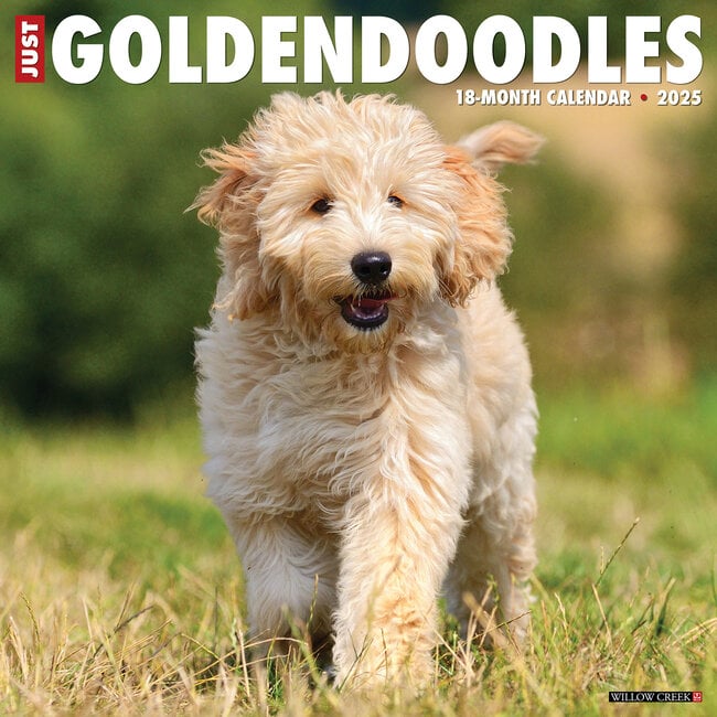 Calendario Goldendoodle 2025