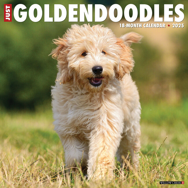Willow Creek Calendrier Goldendoodle 2025
