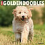 Calendario Goldendoodle 2025