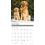 Calendario del Golden Retriever 2025