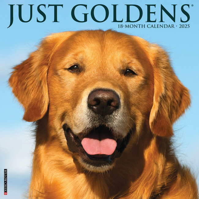 Calendario del Golden Retriever 2025