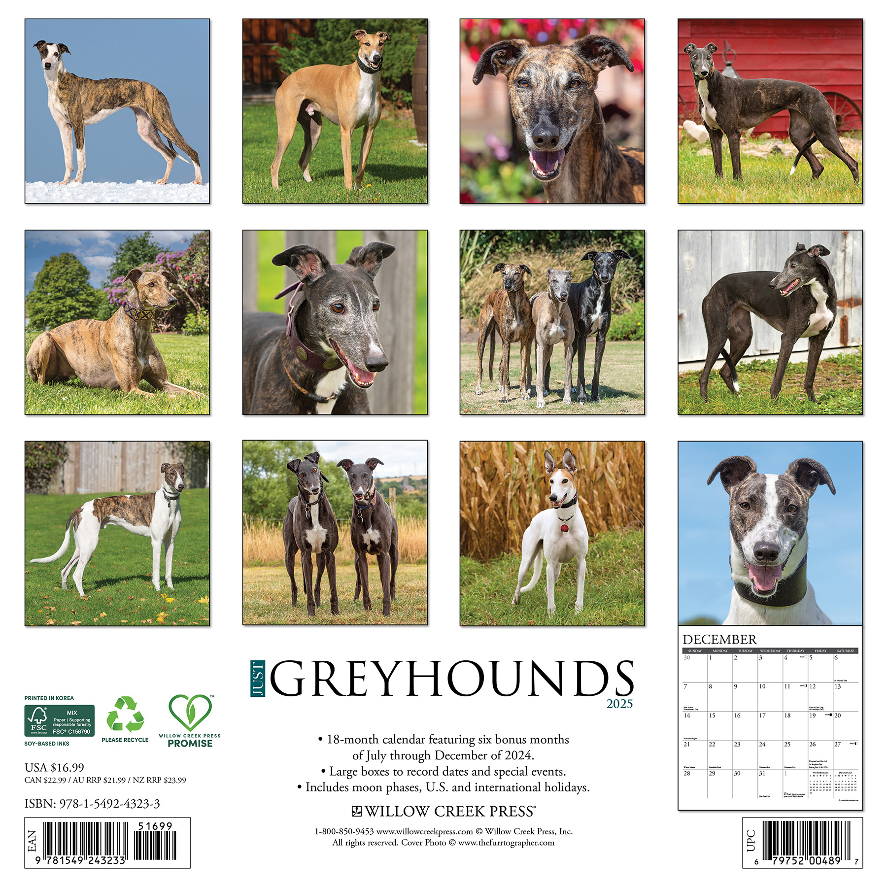 Greyhound Kalender 2025 Kopen? Bestel eenvoudig en snel Online