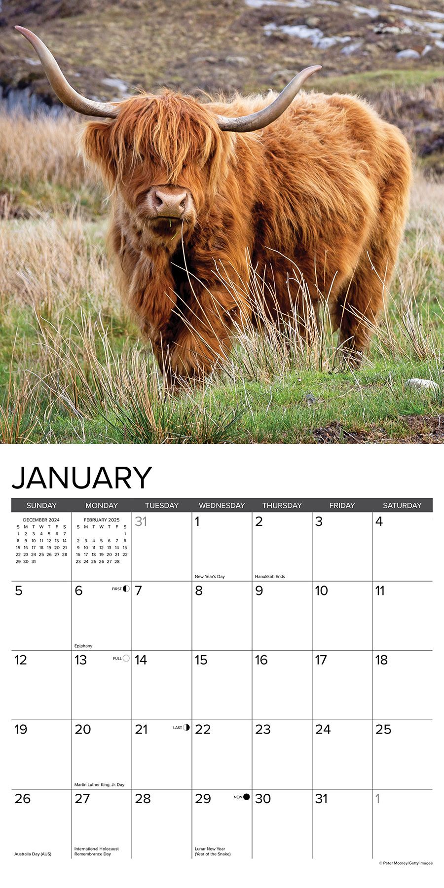 Scottish Highlanders Kalender 2025 Kaufen? Einfach und schnell