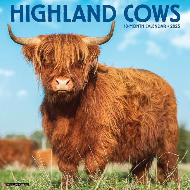 Scottish Highlanders Kalender 2025 Kaufen? Einfach und schnell