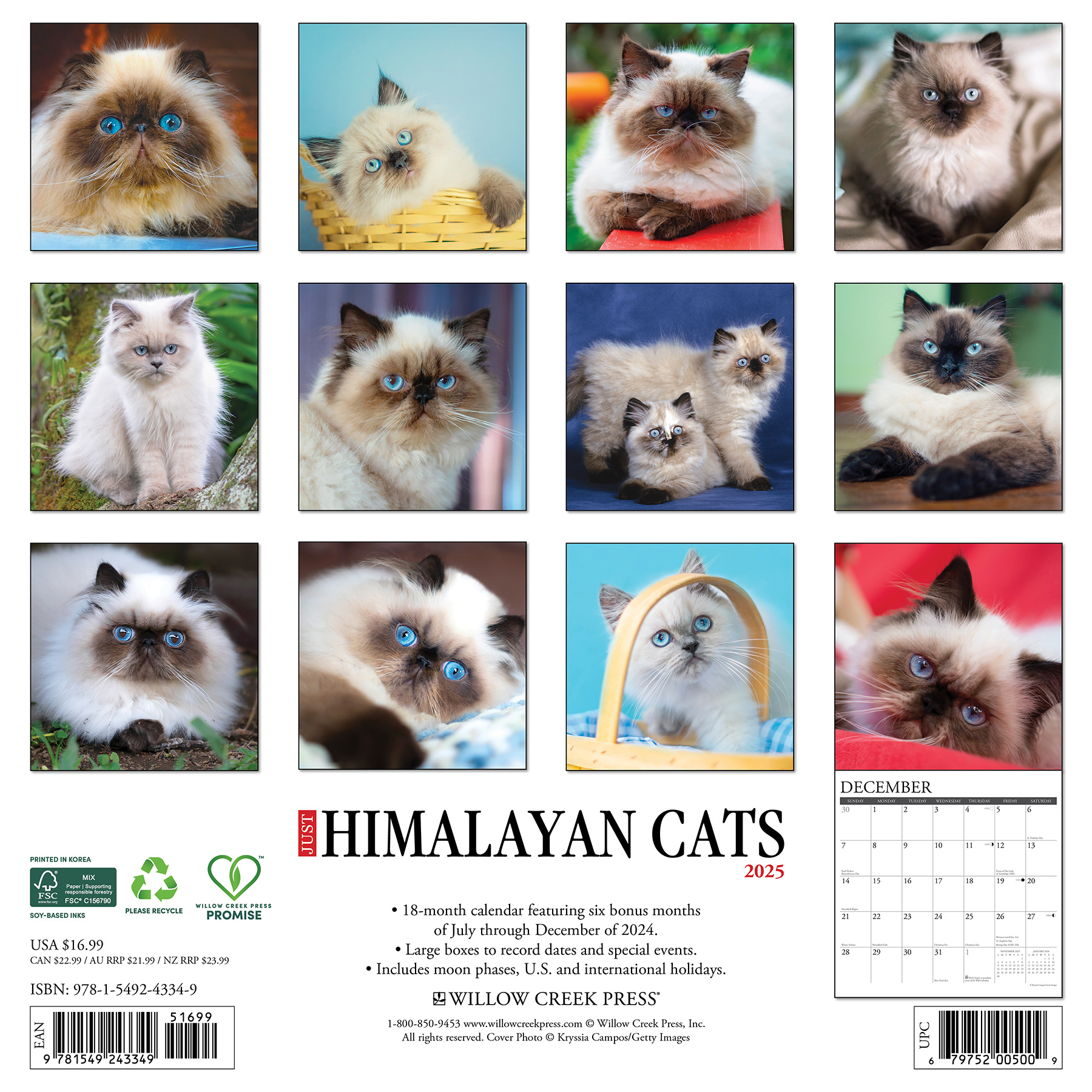 Buy Himalayan Cat Calendar 2025? Order online quickly and easily