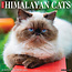 Calendario Gatos del Himalaya 2025