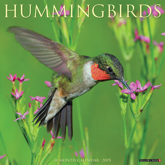 Willow Creek Hummingbirds Calendar 2025