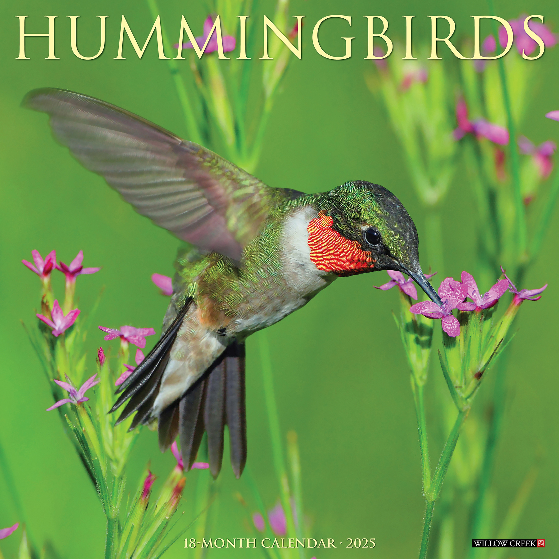 Buying Hummingbirds Calendar 2025 Order easily and quickly Online. Kalenderwinkel.nl