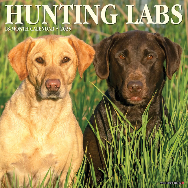 Labs on Hunting Calendar 2025