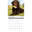 Lab Rules Calendar 2025