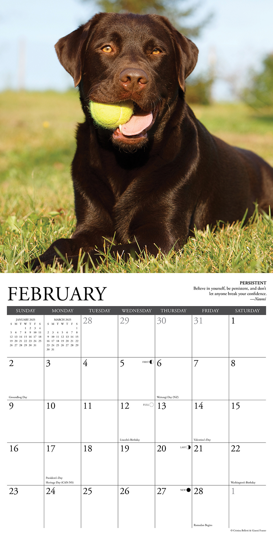 Lab Rules Kalender 2025 Kopen? Bestel eenvoudig en snel Online