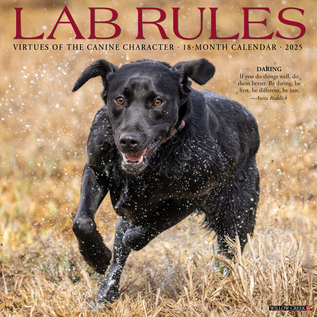 Lab Rules Calendar 2025