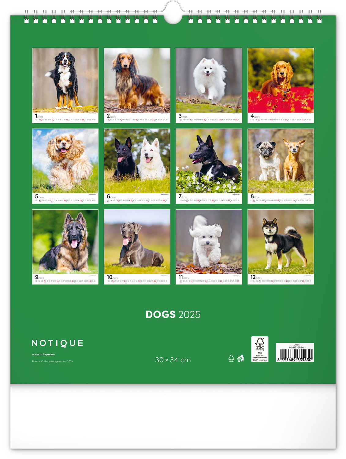 Buying Dogs Calendar 2025 | simply order online - Kalenderwinkel.nl