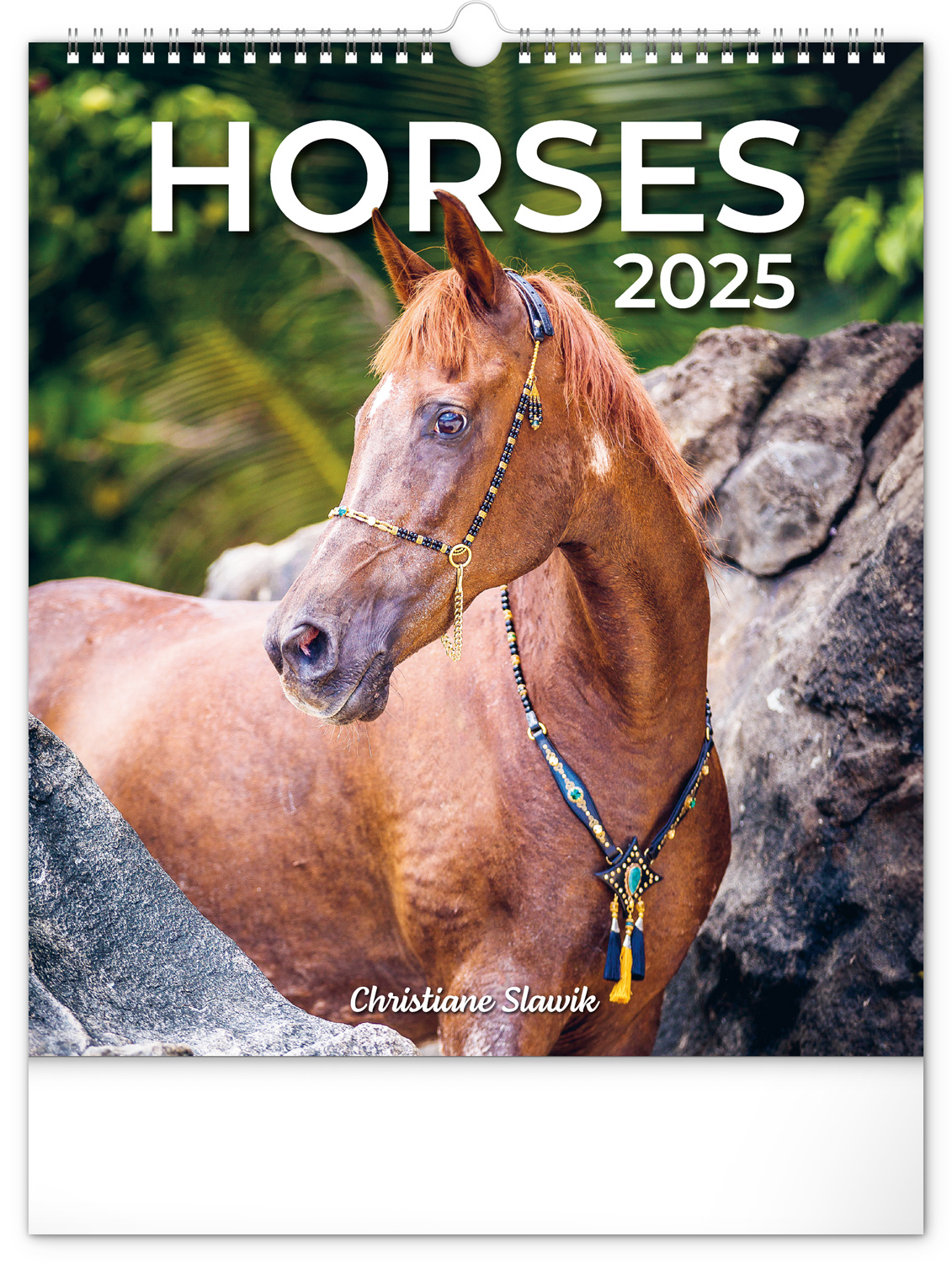 Horses Kalender 2025 Kopen? Bestel eenvoudig Online Kalenderwinkel.nl
