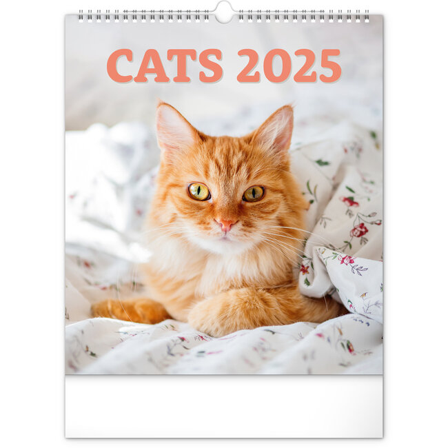 Calendrier des chats 2025