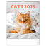 Cats Calendar 2025