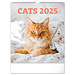 Presco Cats Kalender 2025