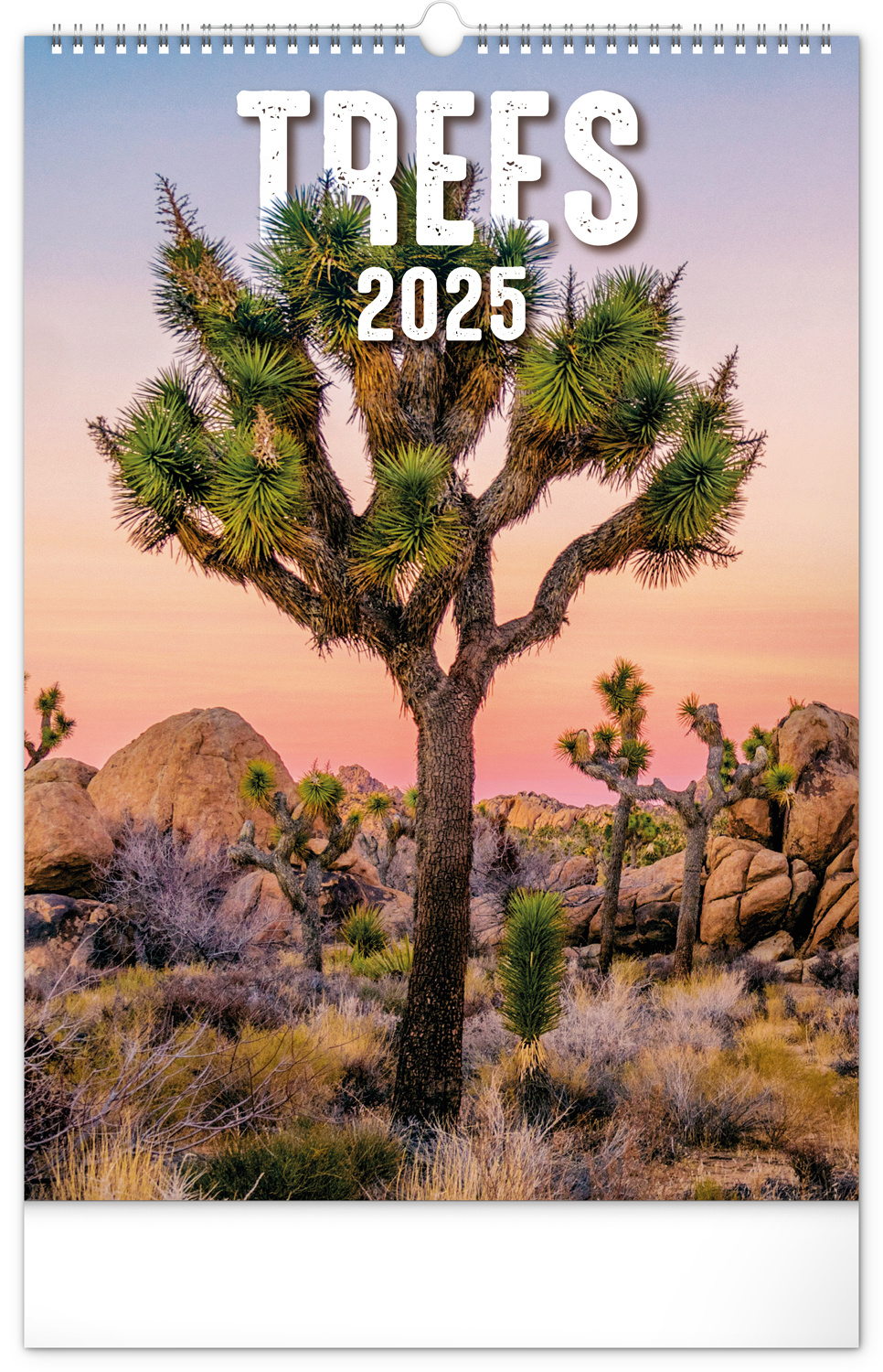 Achat Calendrier Arbres 2025 Commander facilement en ligne Kalenderwinkel.nl