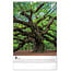 Trees Kalender 2025