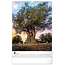 Trees Kalender 2025