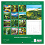 Amazing Rainforest Calendar 2025