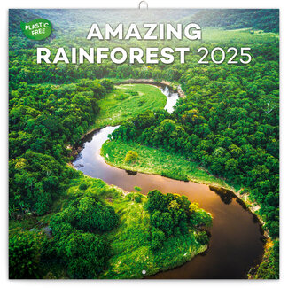 Amazing Rainforest Kalender 2025