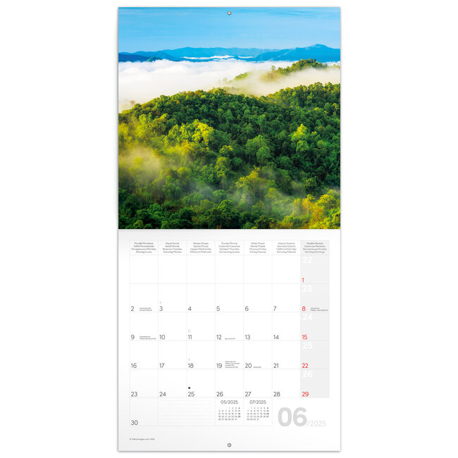 Buy Amazing Rainforest Calendar 2025? Order quick and easy