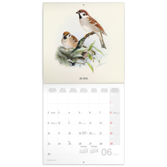 Buying Birds in Art Calendar 2025? Order online quickly and easily