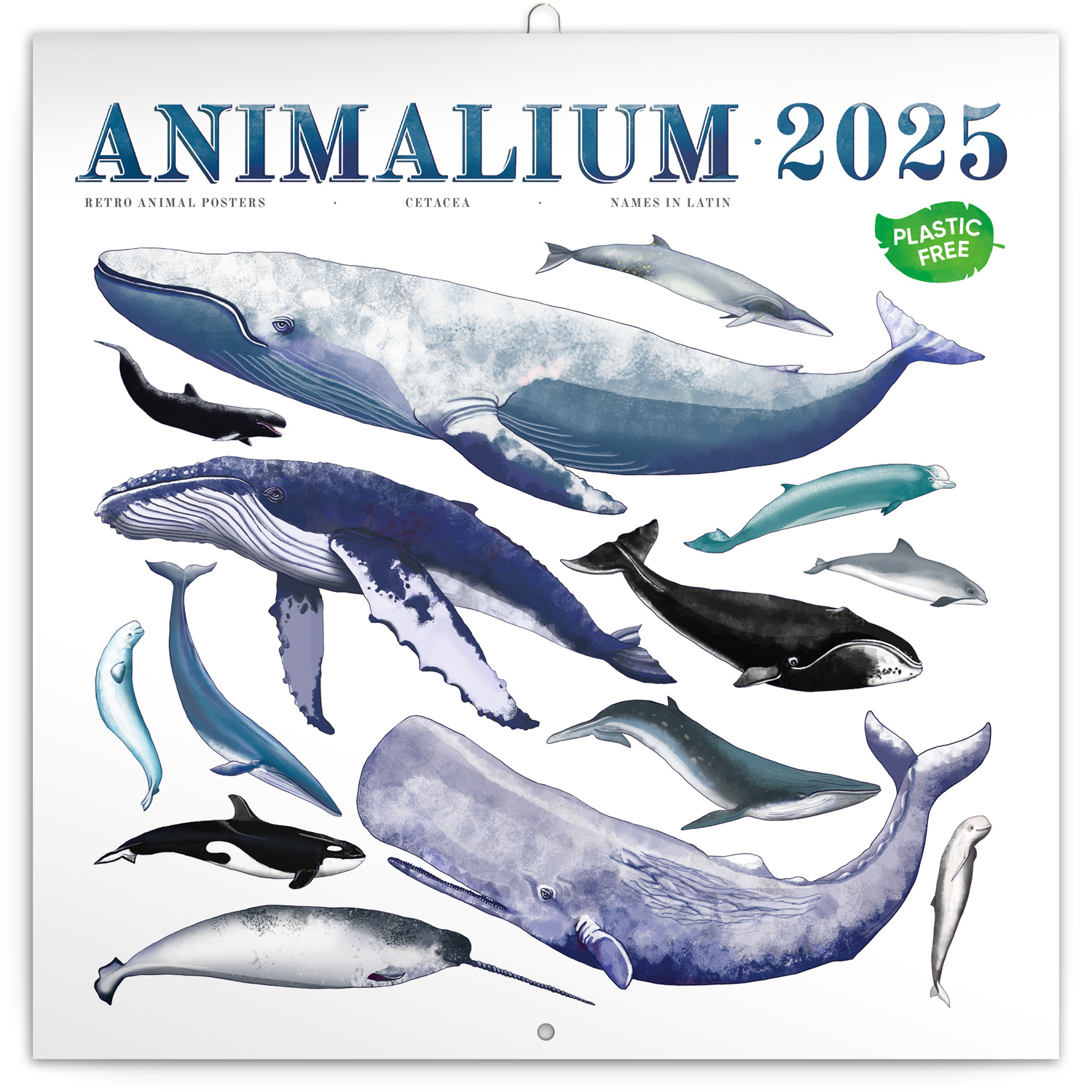 Animalium Kalender 2025