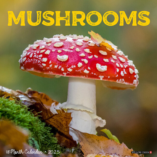 Mushrooms Calendar 2025